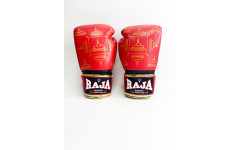 Боксерские перчатки Raja Snake red 16 oz