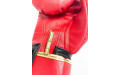 Боксерские перчатки Raja Snake red 12 oz