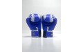 Боксерские перчатки TWINS Special FBGVL3-49 blue 12 oz
