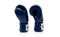 Боксерские перчатки BGV1 blue 10 oz