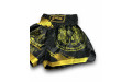 Шорты для бокса Blegend black/gold 3XL