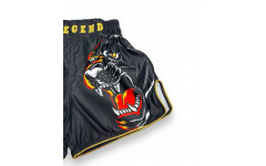 Шорты для бокса Blegend Magic Tiger 2XL