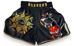 Шорты для бокса Blegend Magic Tiger M