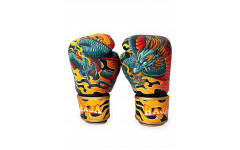 Боксёрские перчатки Raja Dragon 10 oz