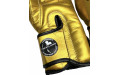 Боксерские перчатки BLEGEND 14 oz