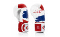 Боксерские перчатки Fairtex BGV1 Thai PriDe 16 oz