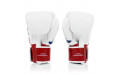 Боксерские перчатки Fairtex BGV1 Thai PriDe 16 oz