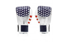 Боксерские перчатки Fairtex BGV1 USA 10 oz Боксерские перчатки Fairtex BGV1 USA 10 oz