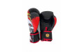 Боксёрские перчатки Raja Fancy Skull King 16 oz