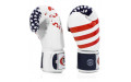 Боксерские перчатки Fairtex BGV1 USA 16 oz