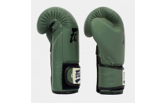 Боксерские перчатки Fairtex BGV11 F-DaY 10 oz Боксерские перчатки Fairtex BGV11 F-DaY 10 oz