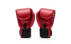 Боксерские премиальные перчатки Fairtex GOLDEN JUBILEE 14 oz