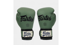 Боксерские перчатки Fairtex BGV11 F-DaY 14 oz