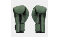 Боксерские перчатки Fairtex BGV11 F-DaY 14 oz