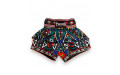 Шорты для бокса Twins Special TBS Aztec S