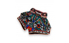 Шорты для бокса Twins Special TBS Aztec XL