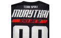 Футболка с длинным рукавом Муай-тай BORN TO BE SMTL15 L