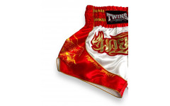 Шорты для бокса Twins Special TBS DRAGON 5- XL