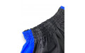 Шорты для бокса Blegend Powerhous black blue - 2XL