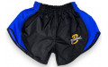 Шорты для бокса Blegend Powerhous black blue - 2XL