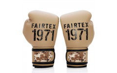 Боксерские перчатки Fairtex BGV25 F-DaY2 10 oz