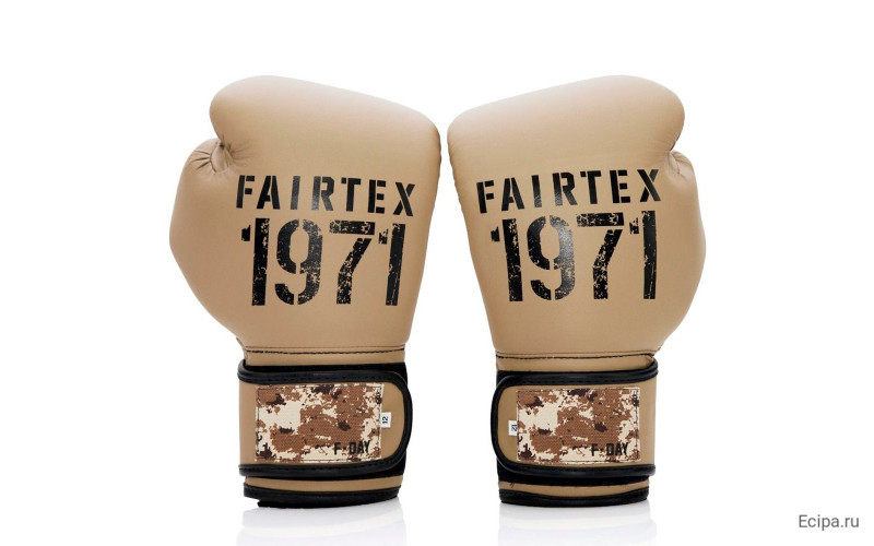 Боксерские перчатки Fairtex BGV25 F-DaY2 10 oz