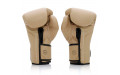 Боксерские перчатки Fairtex BGV25 F-DaY2 10 oz