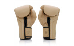 Боксерские перчатки Fairtex BGV25 F-DaY2 10 oz
