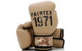 Боксерские перчатки Fairtex BGV25 F-DaY2 12 oz