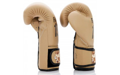 Боксерские перчатки Fairtex BGV25 F-DaY2 16 oz