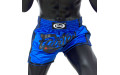 Шорты для бокса Fairtex BS1702 (синий) L