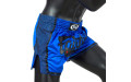 Шорты для бокса Fairtex BS1702 (синий) M