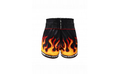 Шорты для бокса Twins Special TBS Flame L