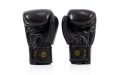 Боксерские перчатки Fairtex BGV19 black 16 oz