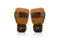 Боксерские перчатки Fairtex BGV21 LEGACY 10 oz