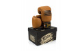 Боксерские перчатки Fairtex BGV21 LEGACY 10 oz