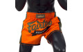 Шорты для бокса Fairtex BS1705 (оранжевый) XL