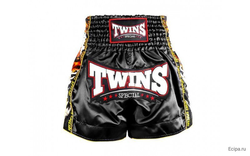Шорты для бокса Twins Special TBS New Payak S