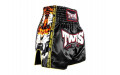 Шорты для бокса Twins Special TBS New Payak S