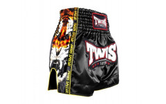 Шорты для бокса Twins Special TBS New Payak S