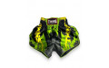 Шорты для бокса Twins Special TBS Candy green L Шорты для бокса Twins Special TBS Candy green L