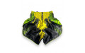 Шорты для бокса Twins Special TBS Candy green L