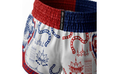 Шорты для Muay Thai Twins Special TBS Yant L