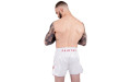 Шорты для бокса Fairtex BS1908 (белый) XL