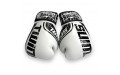 Боксерские перчатки FBGDM12-TW7 white 14 oz