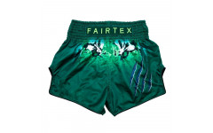 Шорты для бокса Fairtex BS1913 XL