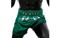 Шорты для бокса Fairtex BS1913 L