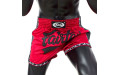 Шорты для бокса Fairtex BS1703 (красный-черный) 2XL Шорты для бокса Fairtex BS1703 (красный-черный) 2XL