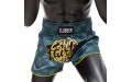 Шорты для бокса Fairtex BS1915 M Шорты для бокса Fairtex BS1915 M