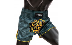 Шорты для бокса Fairtex BS1915 XL
